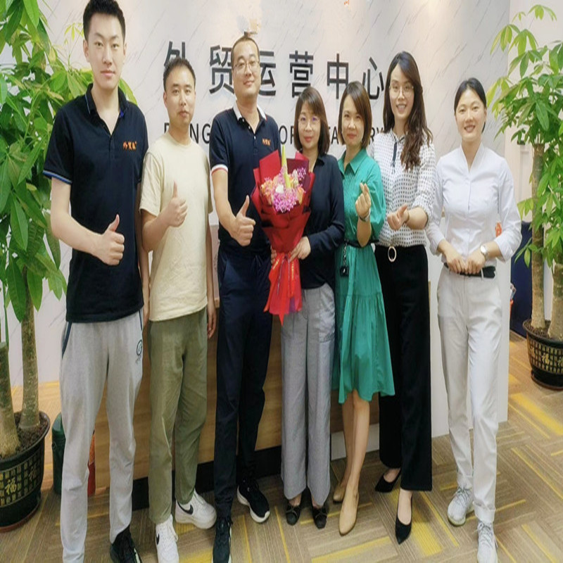 De windkleuren van de partners in de buitenlandse handelsafdeling van Xinyang Leather Company